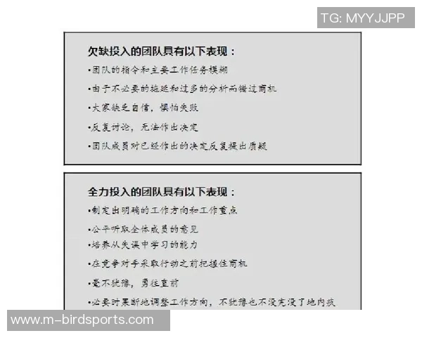 运动数据南京排球队在精英赛中的团队协作表现分析与反思